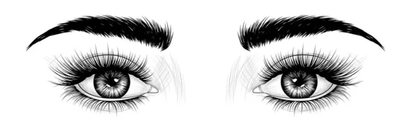 Modeillustration Svart Och Vit Handritad Bild Ögon Med Ögonbryn Och — Stock vektor