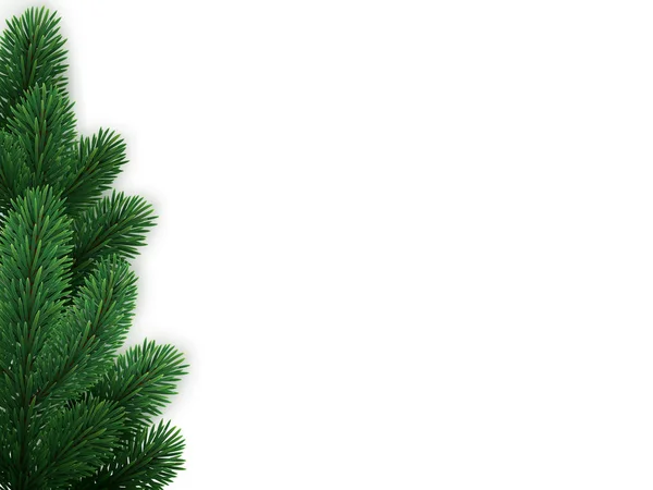 Vector Background Green Spruce Branches Christmas Tree Pine Coniferous Plant — Stock vektor