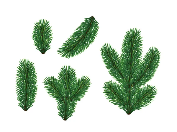 Vector Set Green Spruce Branches Isolated White Christmas Tree Pine — Stock Vector