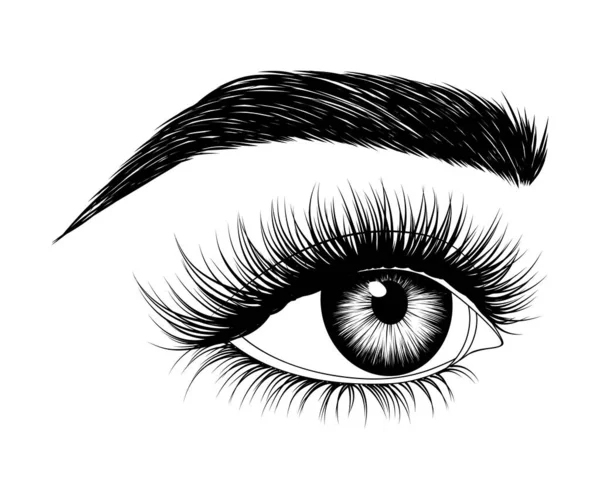Handgezeichnetes Frauenauge Mit Augenbrauen Und Langen Wimpern Seitenblick Modeillustration Vektor — Stockvektor