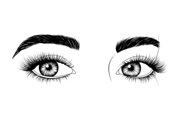 Black White Hand Drawn Eyes Eyebrows Long Eyelashes Fashion Illustration — Stock Vector