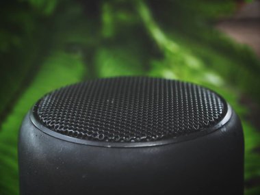 Siyah cluetooth hoparlör ve yaprakları