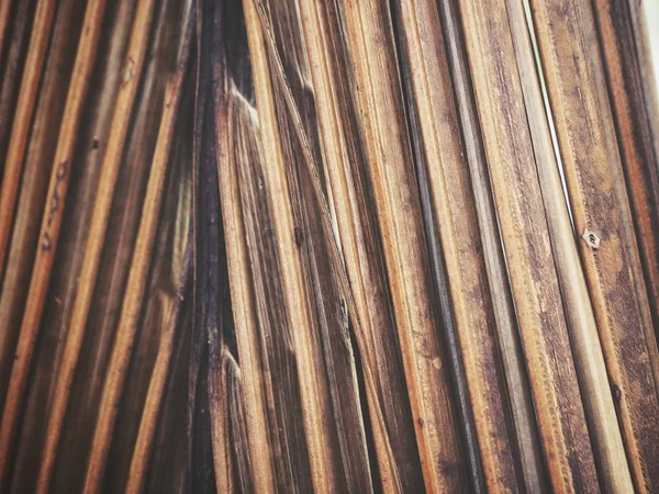 Kurutulmuş Hindistan cevizi yaprakları güzel