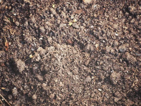 Коричневый Фон Текстура Почвы — стоковое фото