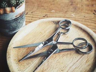 Saç kesme makası ve kaktüs