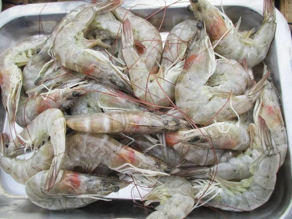 Fresh Shrimps Seafood Background — Stock Photo, Image