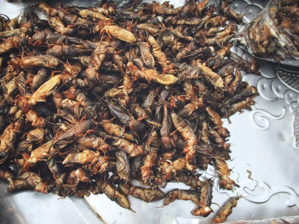 Insectos Fritos Asia Comida Callejera — Foto de Stock