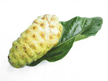 Noni izole tropikal meyve beyaz arka plan