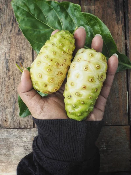 Noni Tropische Früchte Auf Der Hand — Stockfoto