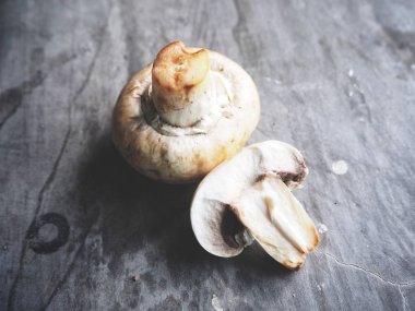 Gri arka plan üzerinde taze mantar