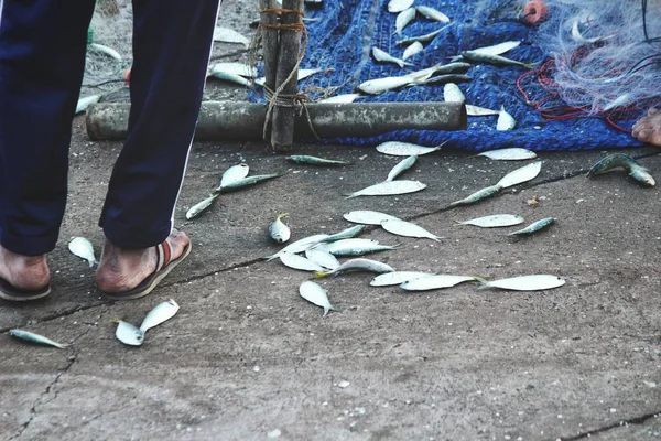 渔民和生鱼 — 图库照片