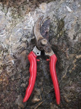 Ahşap arka plan üzerinde kırpma makasları