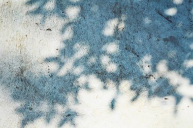 Gölge yaprakların yakın çekim 