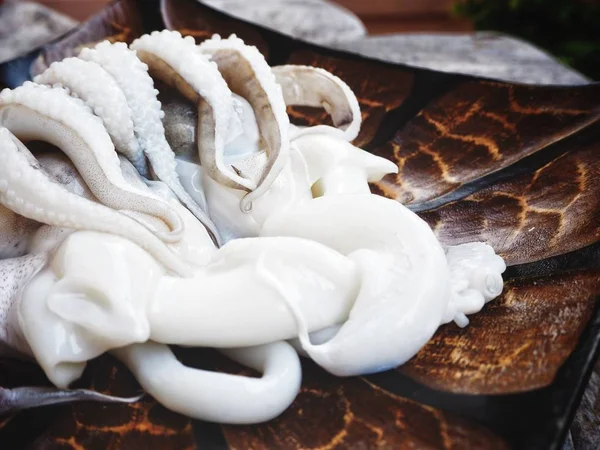 Close Fresh Squid Seafood — Stock Photo, Image