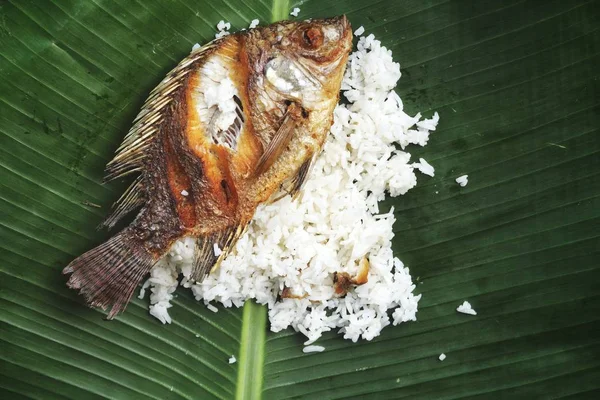 Fried fish and rice on green banana leaves Thai food