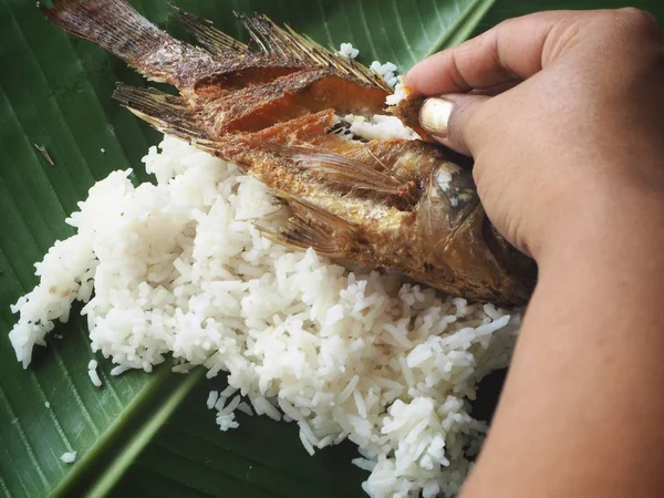 Essen Gebratener Fisch Mit Reis Und Hand Auf Grünen Bananenblättern — Stockfoto