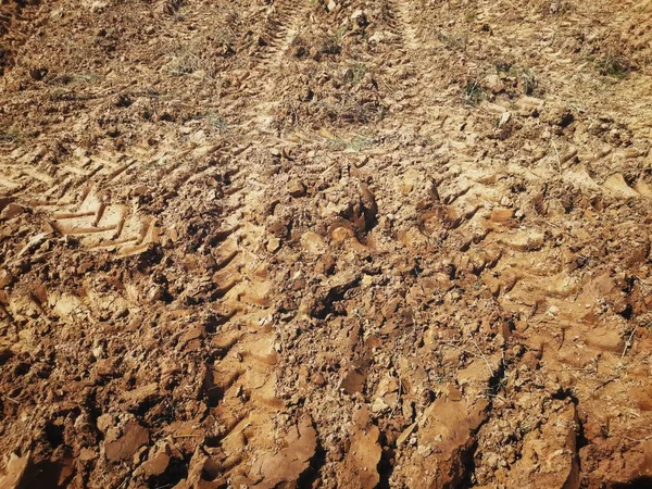 Wheel Tracks Soil — Stock Photo, Image