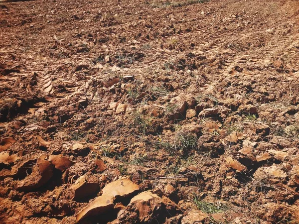 Wheel Tracks Soil — Stock Photo, Image