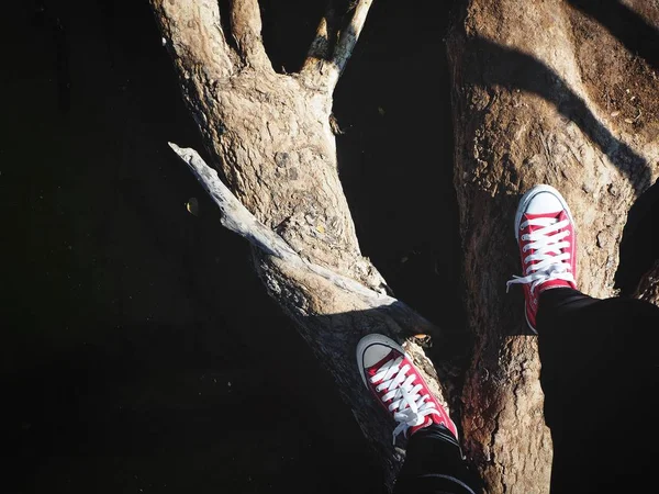 Selfie Red Sneakers Lifestyle Cool — Stock Photo, Image