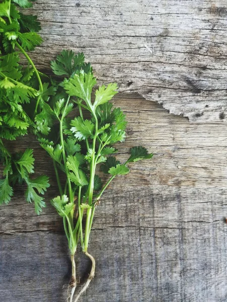 Cilantro Sobre Fondo Madera —  Fotos de Stock