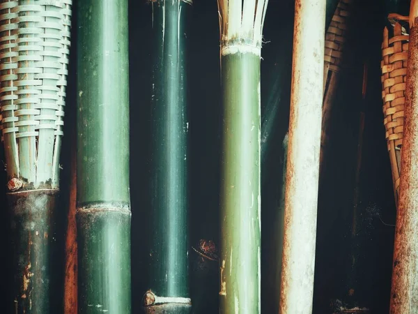 Bambusové Dřevo Pozadí Nebo Textury — Stock fotografie