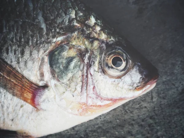 Fresh Raw Fish Close — Stock Photo, Image