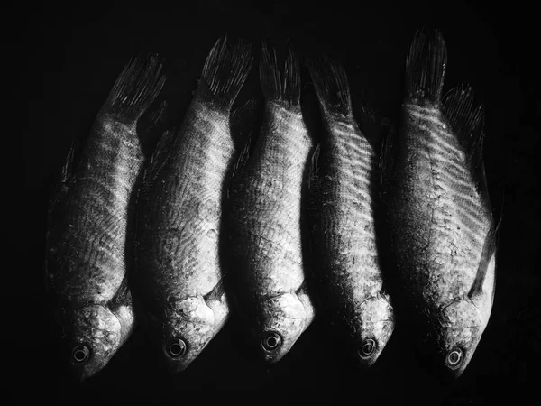 Pescado Crudo Fresco Sobre Fondo Negro — Foto de Stock