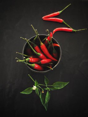 Kırmızı biber siyah arka plan üzerine Tayland Gıda