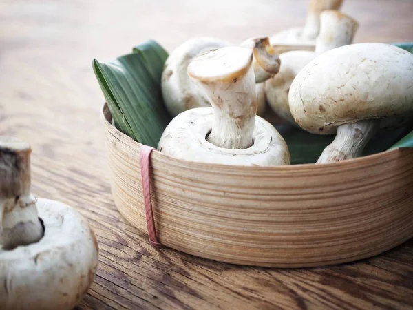 Champignon Mushrooms Wood Background — Stock Photo, Image