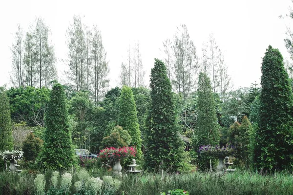 Vista Sul Bellissimo Giardino All Inglese — Foto Stock