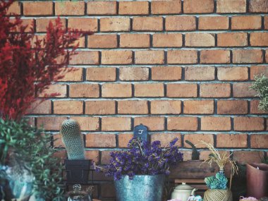 Kurutulmuş çiçek güzel