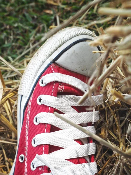 Close Red Sneakers — Stock Photo, Image