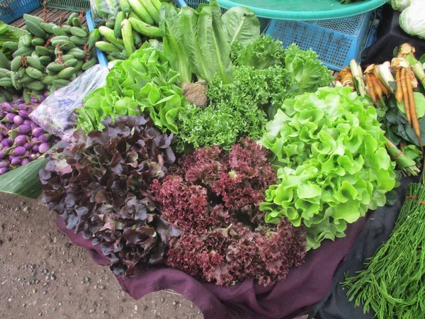 Taze Marul Vejetaryen Salatası — Stok fotoğraf