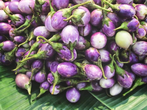 Крупним Планом Фіолетовий Баклажан — стокове фото