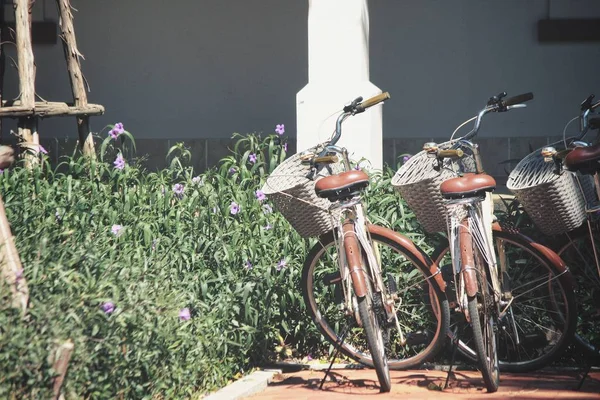 Fahrrad Garten — Stockfoto