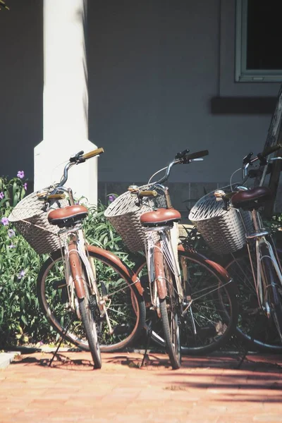 정원에 자전거 — 스톡 사진