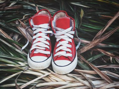 Çim arka planda kırmızı spor ayakkabıları