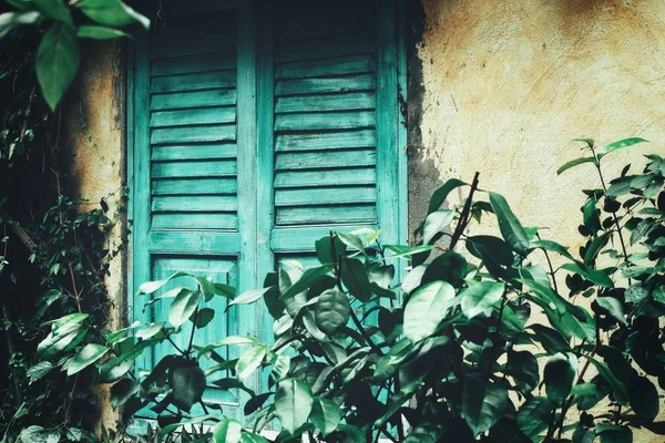 Hermoso estilo vintage de ventanas —  Fotos de Stock