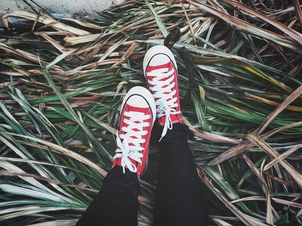 Selfie of red sneakers on grass background — Stock Photo, Image