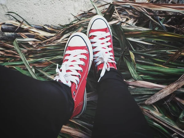 Selfie of red sneakers on grass background — Stock Photo, Image