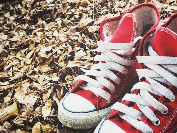 Red sneakers on brown dried leaves — Stock Photo, Image