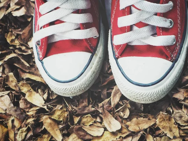 Red sneakers on brown dried leaves — Stock Photo, Image