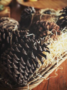 Kurutulmuş çam çiçekleri güzel