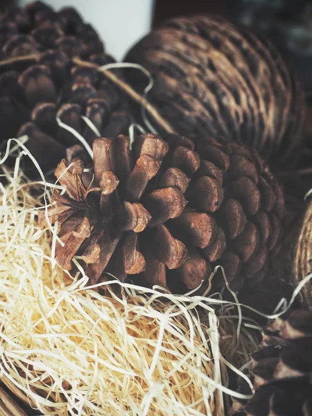 Beautiful of dried pine flowers — Stock Photo, Image