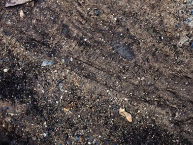 Topraktaki tekerlek izleri