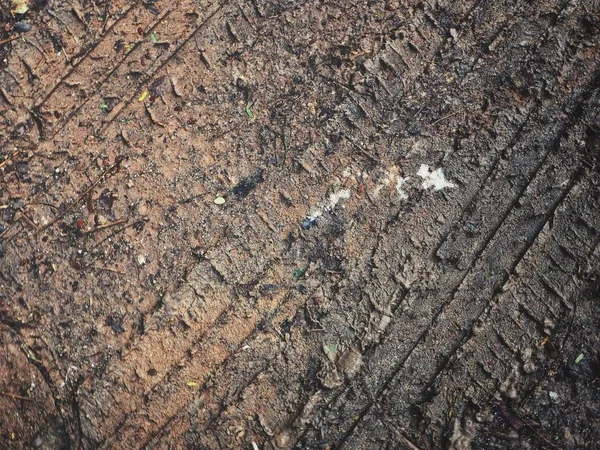 Ślady kół na glebie — Zdjęcie stockowe
