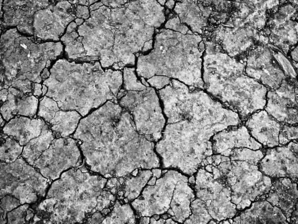 Dried cracked soil background or texture — Stock Photo, Image