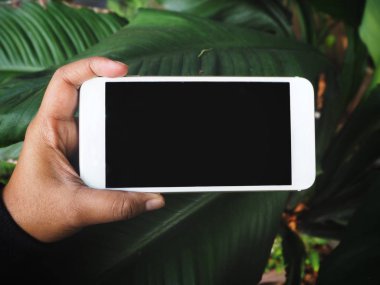 Akıllı telefon ve eğreltiotu yaprakları