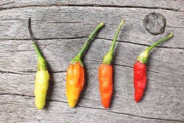 Kırmızı ve yeşil biberi kapat.