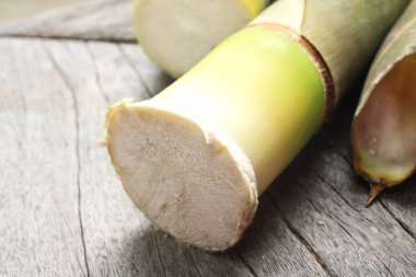 Bambu filizleri ahşap arka planda